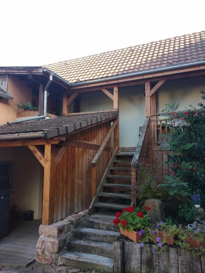 דירות Bennwihr Chez Frederic Et Alexandre מראה חיצוני תמונה